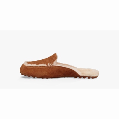 Chinelos UGG Lane Slip-On Mulher Marrom | PT-XWVNT